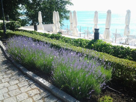 Gallery - Oasis Boutique Hotel