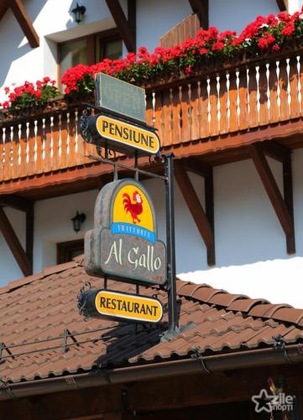 Gallery - Trattoria Al Gallo