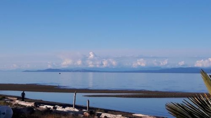 Gallery - Buena Vista by the Sea
