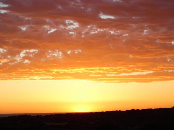 Gallery - On The Deck @ Shark Bay