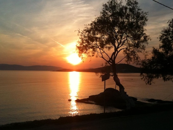 Gallery - Sunset Studios