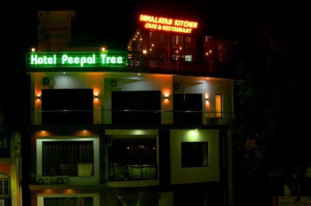 Gallery - Hotel Peepal Tree