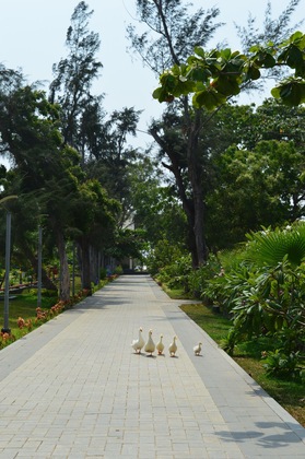 Gallery - Welcomhotel By Itc Hotels, Kences Palm Beach, Mamallapuram