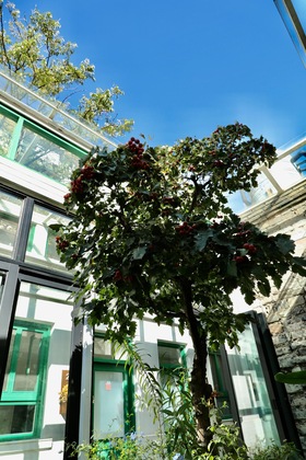 Gallery - Peking Station Hostel