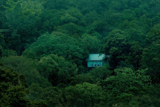 Gallery - Wayanad Wild Rainforest Lodge By Cgh Earth