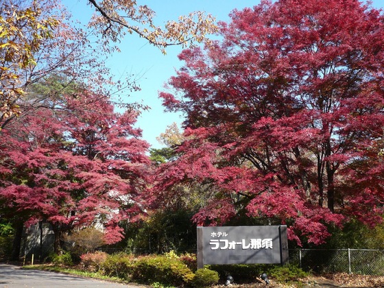 Gallery - Hotel Laforet Nasu