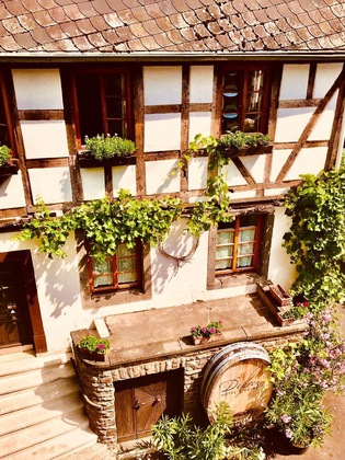 Gallery - Hotel Weingut Dehren