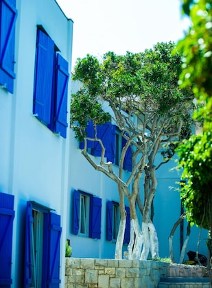 Gallery - Beach Hotel Plaza