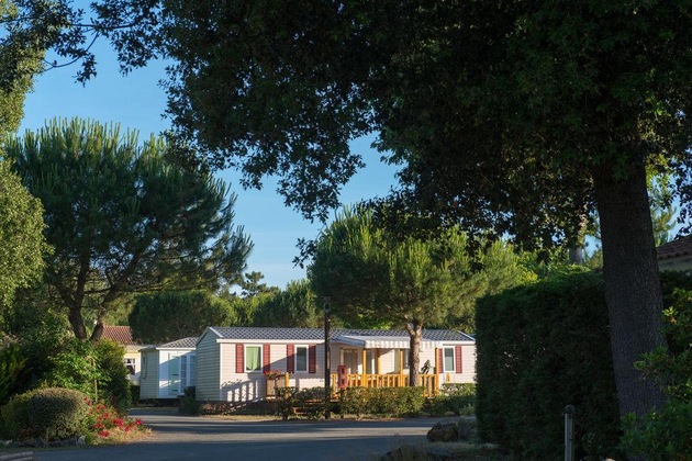 Gallery - Camping Le Bois Masson