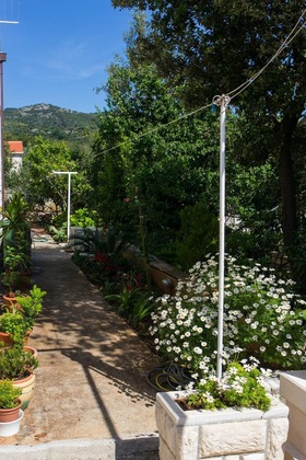 Gallery - Apartments Marina