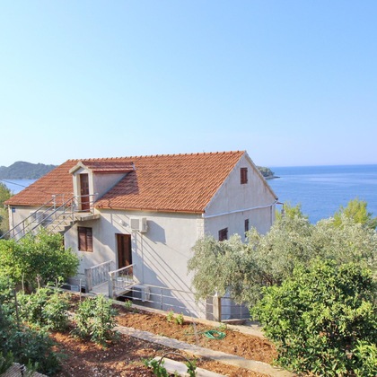 Gallery - Apartments Bacic