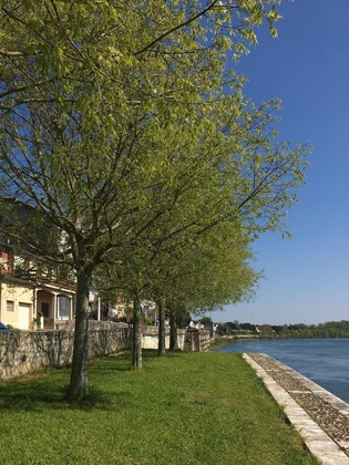 Gallery - Auberge De Lamagistère