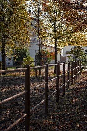 Gallery - Agriturismo Corte Benetti