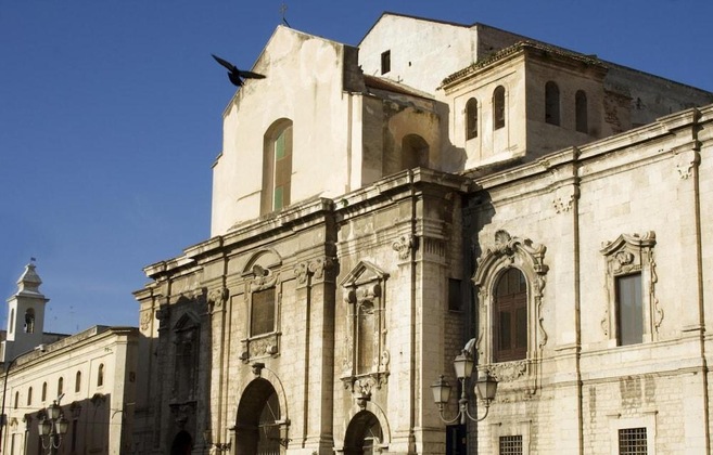 Gallery - Domatia