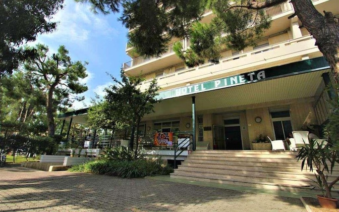 Gallery - Pineta