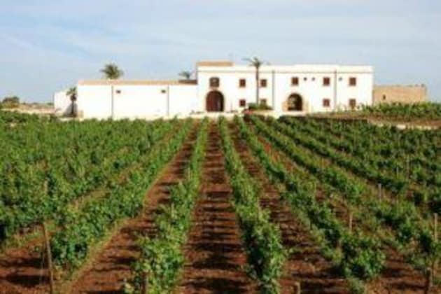 Gallery - Agriturismo Baglio Donnafranca Wine Resort