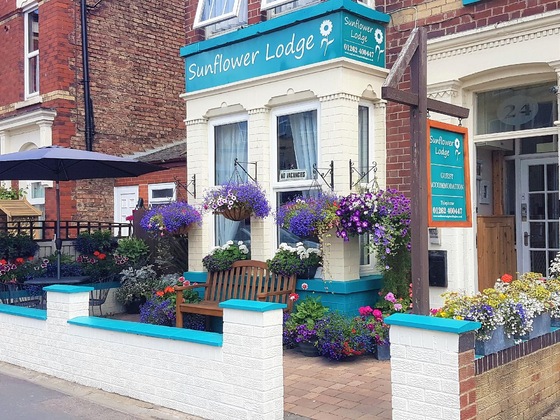 Gallery - Sunflower Lodge