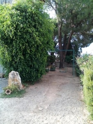 Gallery - B&B Il Vigneto