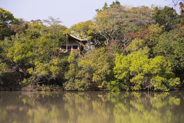 Gallery - Mukambi Fig Tree Bush Camp – All Inclusive