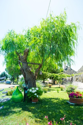 Gallery - Trulli Donna Isabella