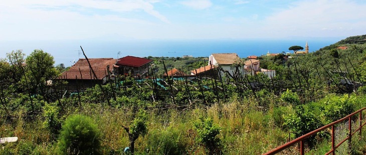 Gallery - Complesso San Francesco