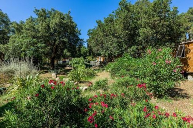Gallery - Campo Di Mare