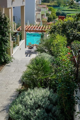Gallery - Olive Tree Apartments