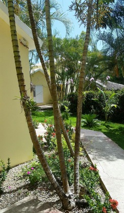 Gallery - Casa Del Sol Hotel Luperon