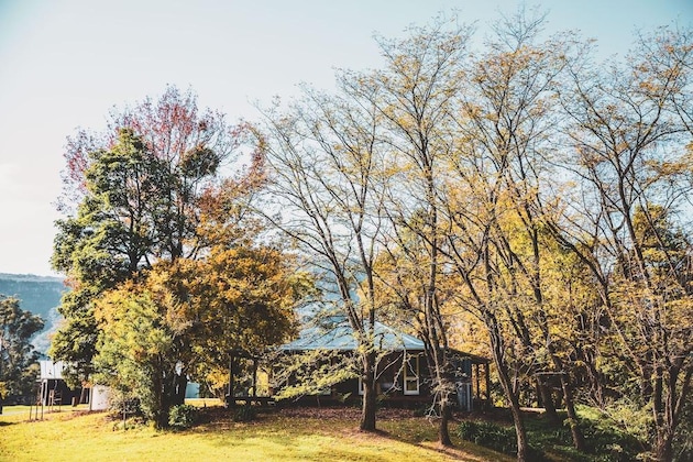 Gallery - Barranca Kangaroo Valley