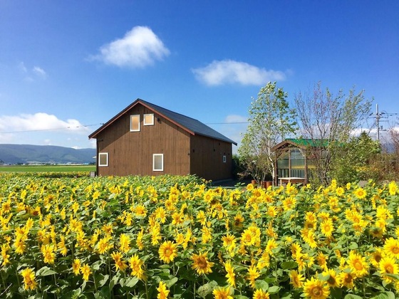 Gallery - Country Cottage Wakiaiai