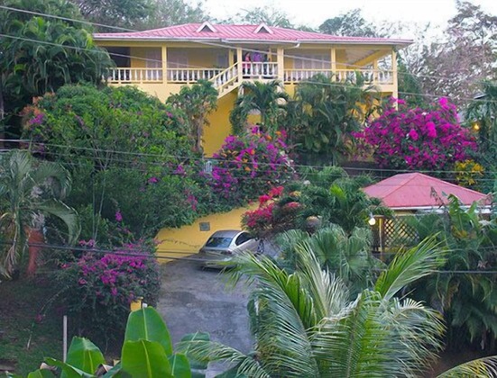 Gallery - Hibiscus Heights