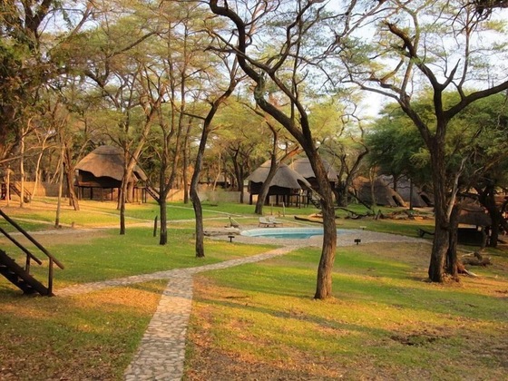 Gallery - The Tree Lodge At Sikumi