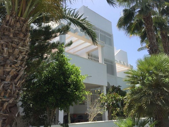 Gallery - 1033 Apartamento La Palmera