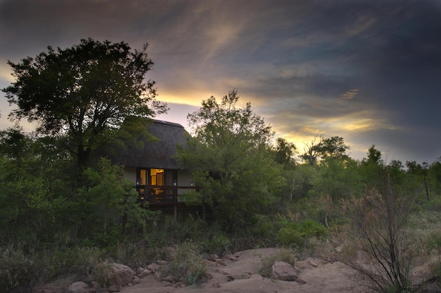 Gallery - Sabi Sabi Little Bush Camp