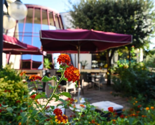 Gallery - Hotel Kontiki