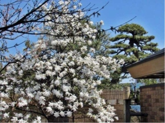Gallery - Inagaki Onsen Hotel Kagetsutei