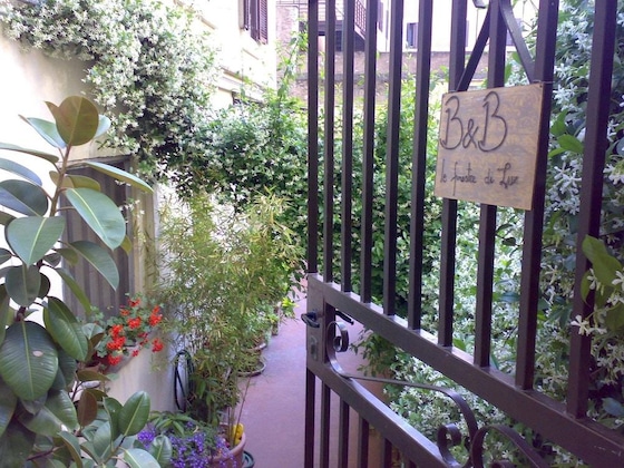 Gallery - Le Finestre Di Luz