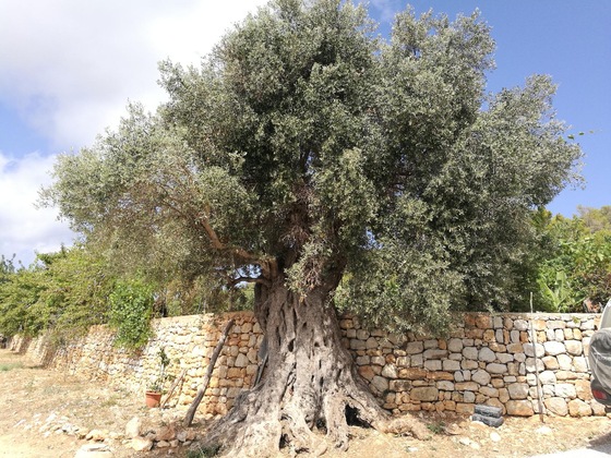 Gallery - Agroturismo Can Prats
