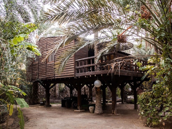 Gallery - Diar Abou Habibi Tozeur