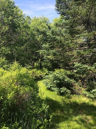 Gallery - Moose Lodge And Cabins By Bretton Woods Vacations