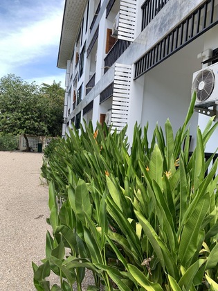 Gallery - Phetcharat Grand Hotel Maesot