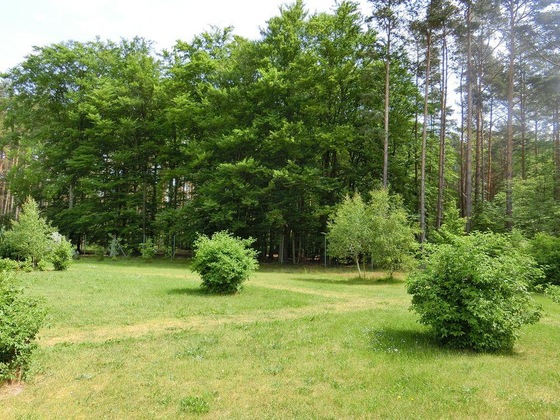 Gallery - Ostseetraum Graal-Müritz