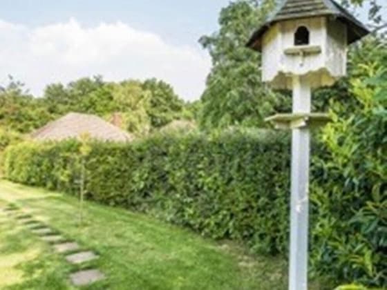Gallery - Knole B&B