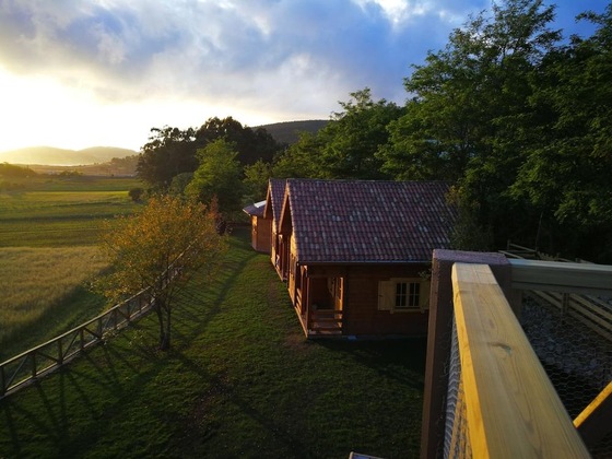 Gallery - Cabanas Da Ria
