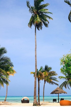 Gallery - Blue Moon Resort