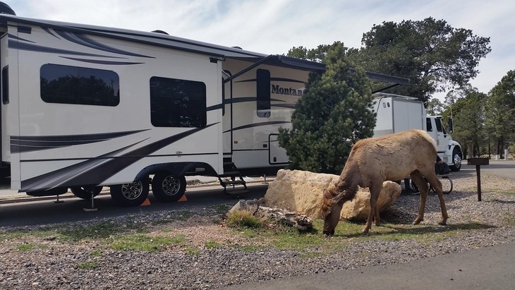 Gallery - Trailer Village Rv Park