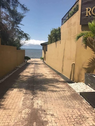 Gallery - Royal Palm