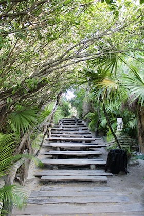 Gallery - Aluna Resort Tulum