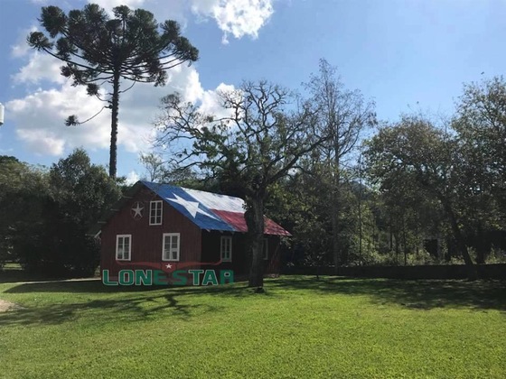Gallery - Lone Star
