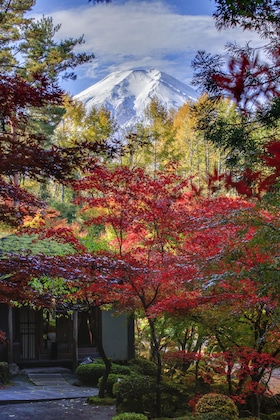 Gallery - Fujisan Onsen Hotel Kaneyamaen